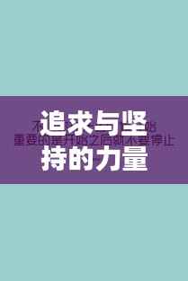 追求与坚持的力量,如何不断进步与成长的秘诀