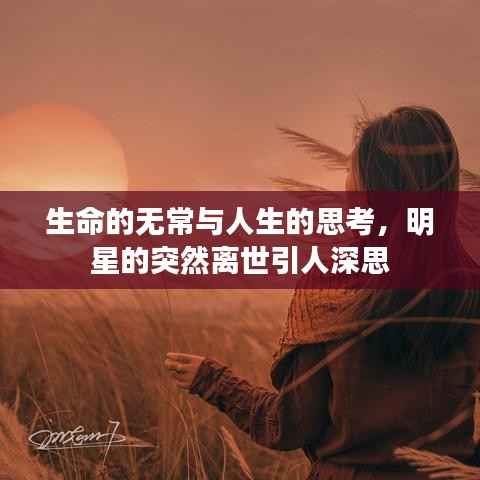 生命的无常与人生的思考,明星的突然离世引人深思