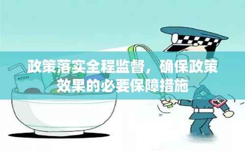 政策落实全程监督，确保政策效果的必要保障措施