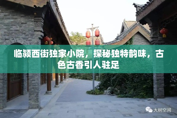 临颍西街独家小院，探秘独特韵味，古色古香引人驻足
