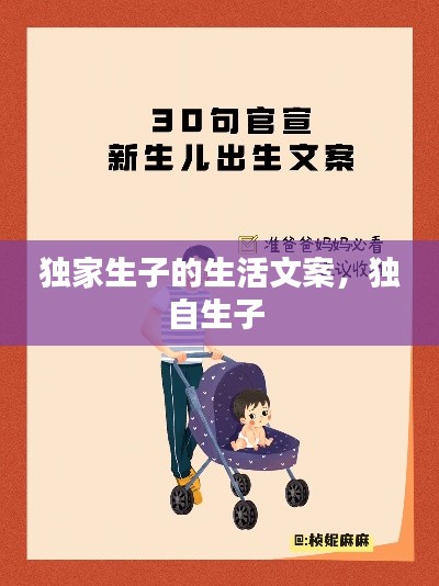 独家生子的生活文案，独自生子 