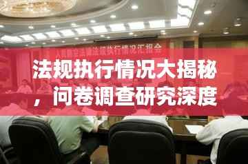 法规执行情况大揭秘，问卷调查研究深度剖析