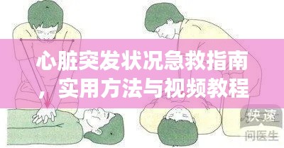 心脏突发状况急救指南，实用方法与视频教程助你应对突发状况