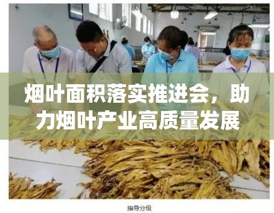 烟叶面积落实推进会，助力烟叶产业高质量发展提速前进