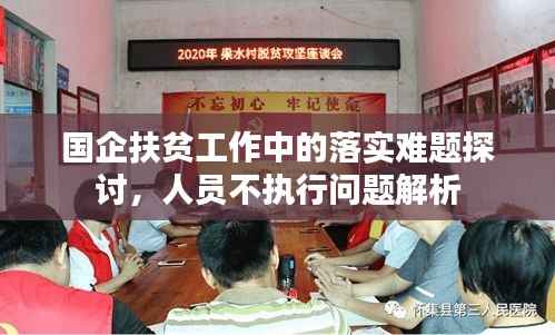 国企扶贫工作中的落实难题探讨，人员不执行问题解析