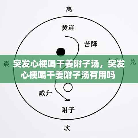 突发心梗喝干姜附子汤，突发心梗喝干姜附子汤有用吗 