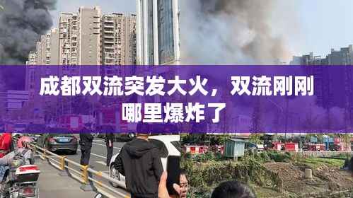 成都双流突发大火，双流刚刚哪里爆炸了 