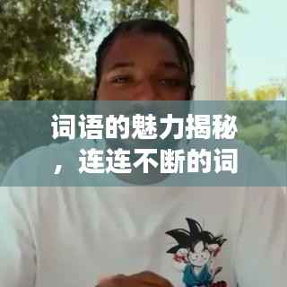词语的魅力揭秘，连连不断的词汇探讨