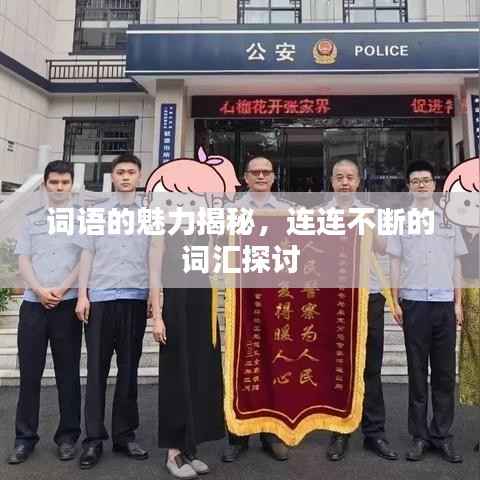 词语的魅力揭秘,连连不断的词汇探讨