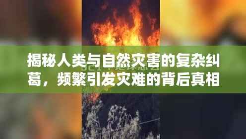 揭秘人类与自然灾害的复杂纠葛，频繁引发灾难的背后真相