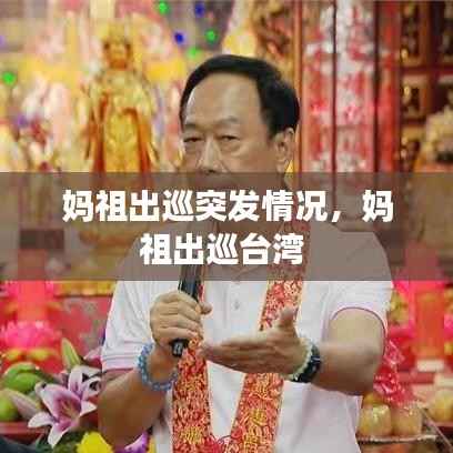 妈祖出巡突发情况，妈祖出巡台湾 
