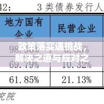 政策落实遇挑战，解决之道与应对之策
