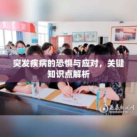 突发疾病的恐惧与应对，关键知识点解析