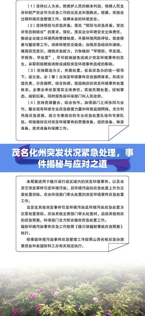 茂名化州突发状况紧急处理，事件揭秘与应对之道