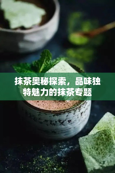抹茶奥秘探索，品味独特魅力的抹茶专题