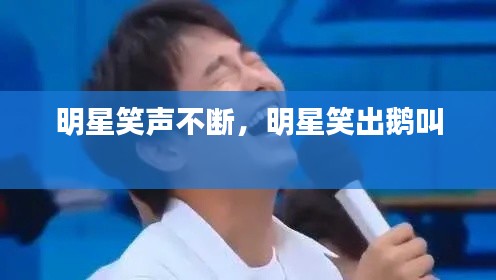 明星笑声不断，明星笑出鹅叫 
