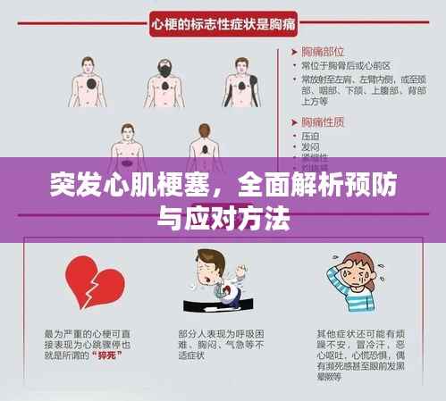 突发心肌梗塞，全面解析预防与应对方法