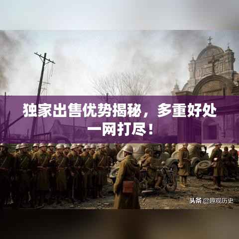 独家出售优势揭秘,多重好处一网打尽!