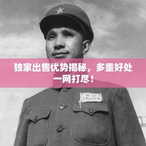 独家出售优势揭秘，多重好处一网打尽！