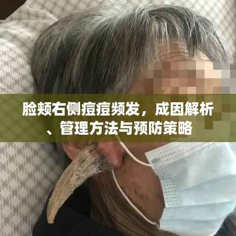 花香鸟语 第5页