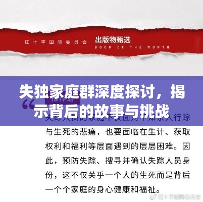 失独家庭群深度探讨，揭示背后的故事与挑战