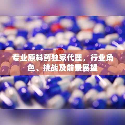 专业原料药独家代理，行业角色、挑战及前景展望