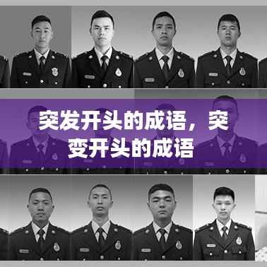 突发开头的成语，突变开头的成语 