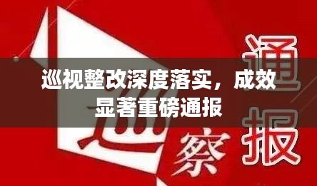 巡视整改深度落实，成效显著重磅通报
