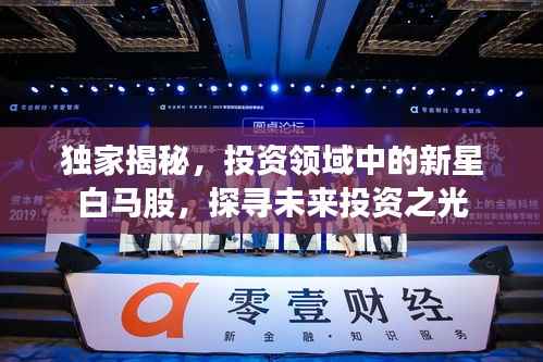 独家揭秘，投资领域中的新星白马股，探寻未来投资之光