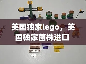 英国独家lego，英国独家菌株进口 