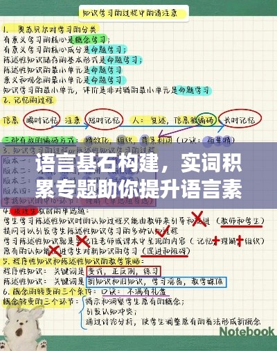 语言基石构建，实词积累专题助你提升语言素养