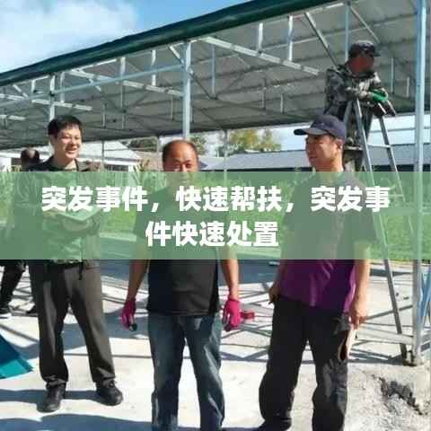 突发事件，快速帮扶，突发事件快速处置 