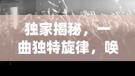 独家揭秘，一曲独特旋律，唤醒心灵深处的共鸣