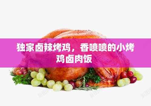 独家卤辣烤鸡，香喷喷的小烤鸡卤肉饭 