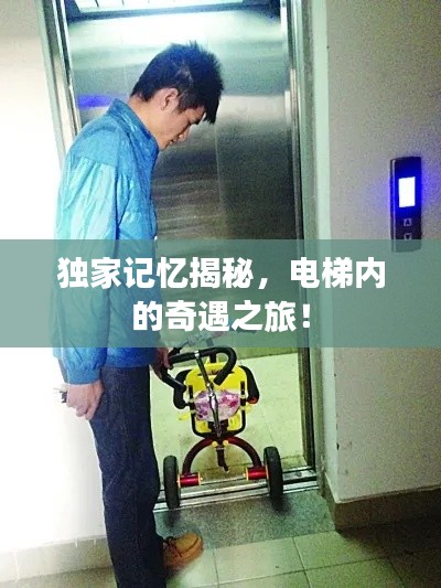 独家记忆揭秘，电梯内的奇遇之旅！