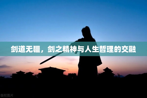 剑道无疆，剑之精神与人生哲理的交融