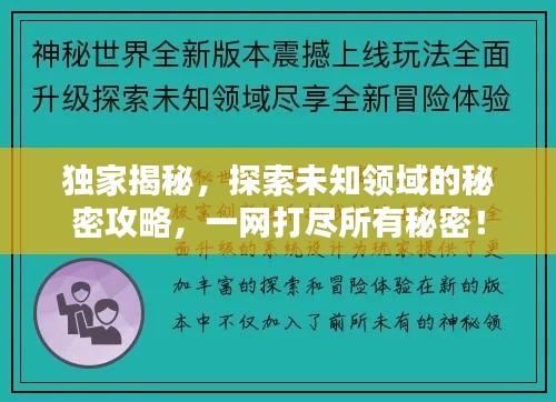 独家揭秘，探索未知领域的秘密攻略，一网打尽所有秘密！