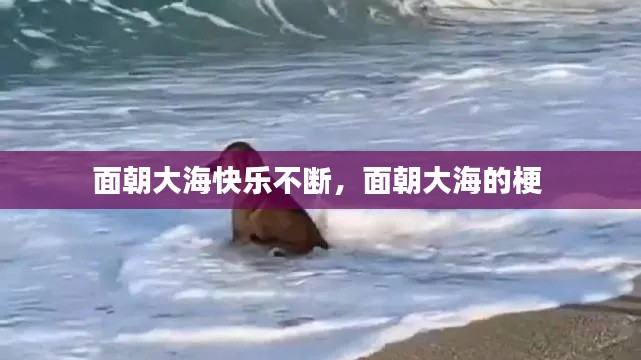 面朝大海快乐不断,面朝大海的梗