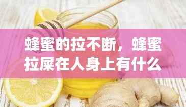 蜂蜜的拉不断，蜂蜜拉屎在人身上有什么事吗 