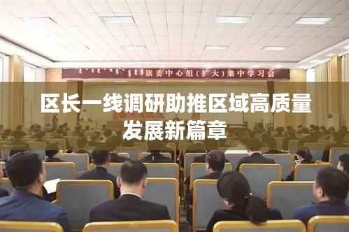 区长一线调研助推区域高质量发展新篇章