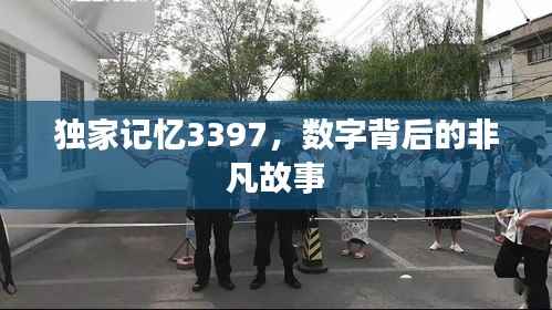 独家记忆3397，数字背后的非凡故事