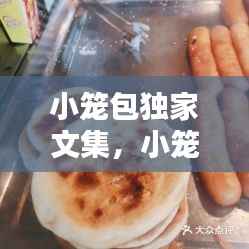 小笼包独家文集，小笼包rr 