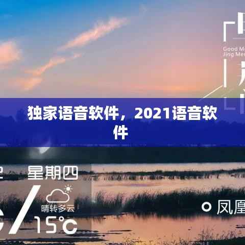 独家语音软件，2021语音软件 