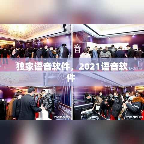独家语音软件,2021语音软件