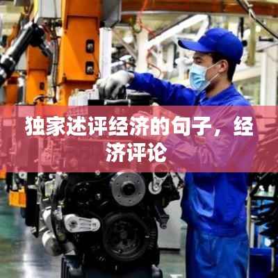 独家述评经济的句子，经济评论 