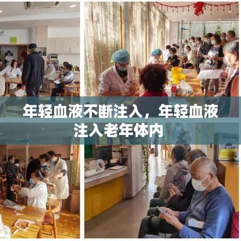 年轻血液不断注入,年轻血液注入老年体内