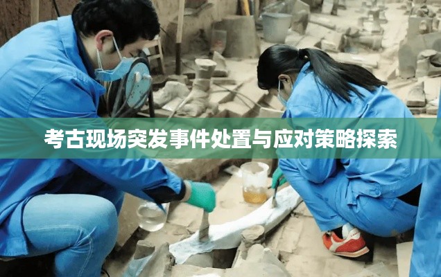 考古现场突发事件处置与应对策略探索