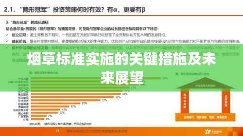 烟草标准实施的关键措施及未来展望