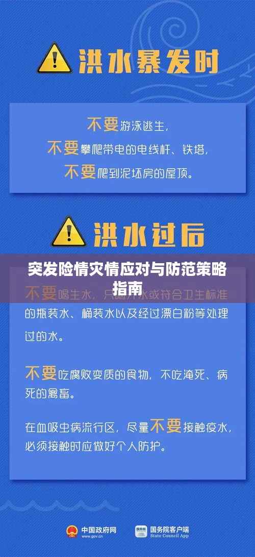 突发险情灾情应对与防范策略指南