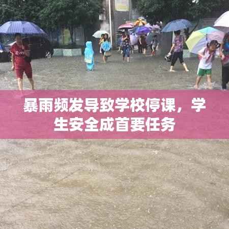 暴雨频发导致学校停课，学生安全成首要任务